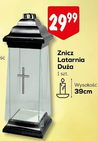 Lewiatan Znicz oferta