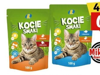 Lewiatan Karma dla kota kocie smaki oferta