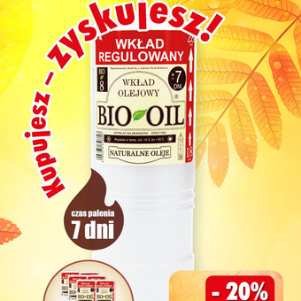 Dino Wkład olejowy oferta
