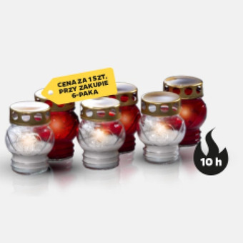 Netto Znicz mini oferta