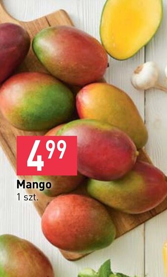 Stokrotka Mango oferta