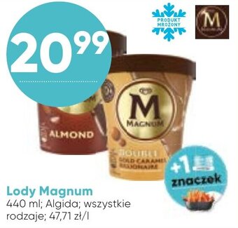 Stokrotka magnum lody 440ml oferta