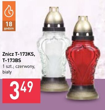 Stokrotka znicz t-173ks, t-173bs oferta