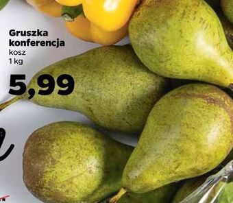 Netto Gruszki konferencja oferta