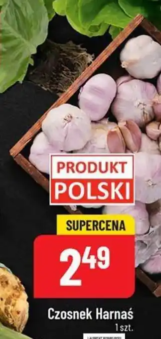 Polomarket Czosnek harnaś oferta