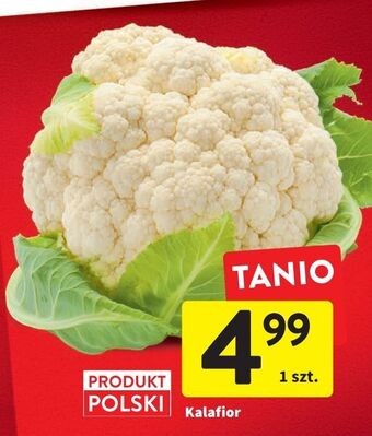 Intermarche Kalafior oferta