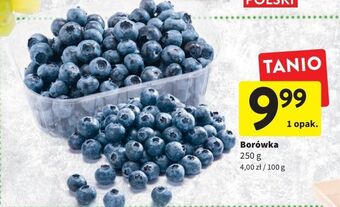Intermarche Borówka oferta