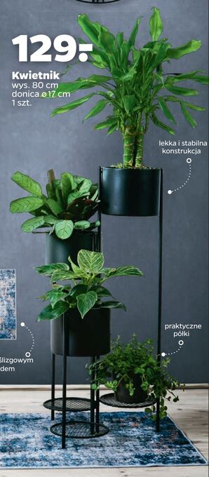 Netto Kwietnik wysokość 80 cm, donica 17 cm oferta
