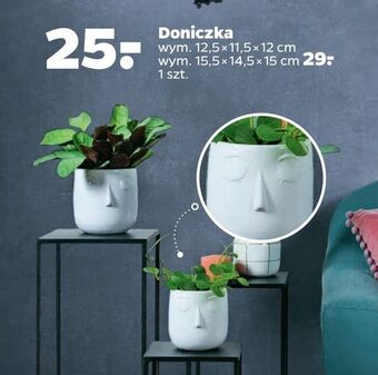 Netto Doniczka wymiary 12,5 x 11,5 x 12 cm oferta