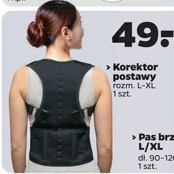 Netto Korektor postawy oferta