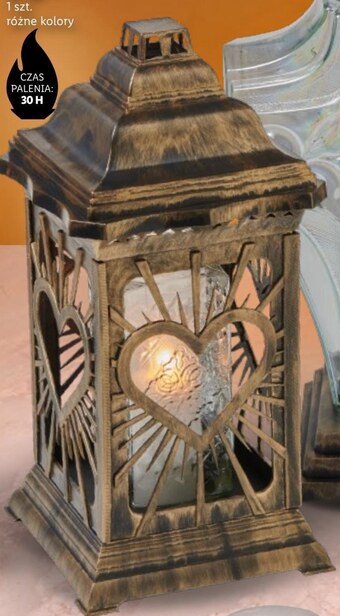 Lidl Znicz lidl oferta