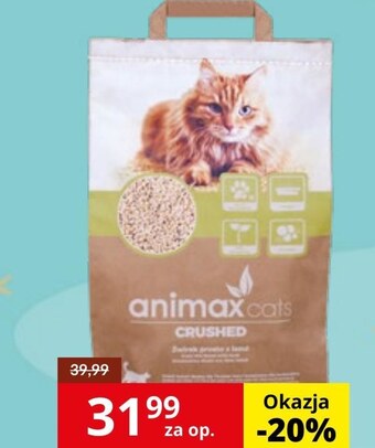 Kakadu Żwirek drewniany animax oferta