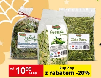 Kakadu Przysmak dla gryzoni alegia oferta