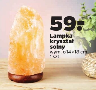 Netto Lampka oferta
