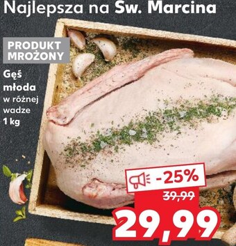 Kaufland Gęś kaufland oferta