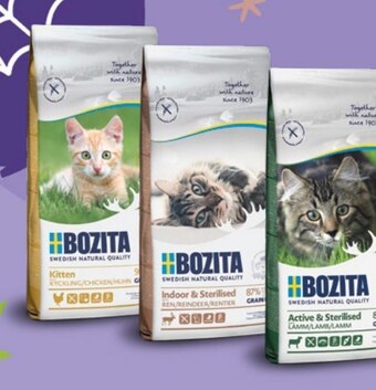 Kakadu Karma dla kota bozita oferta