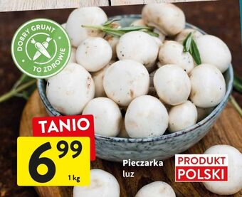 Intermarche Pieczarki oferta