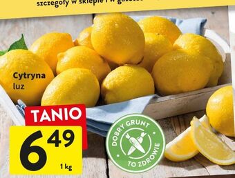 Intermarche Cytryny oferta