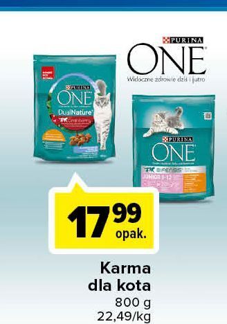 Carrefour Karma dla kota junior purina one oferta