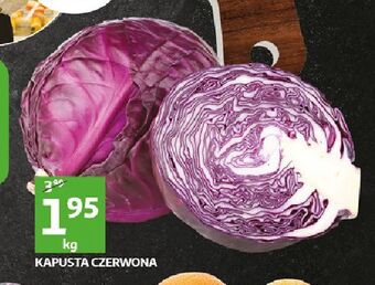 Kapusta czerwona