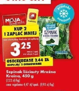 Biedronka Szpinak w liściach mroźna kraina oferta