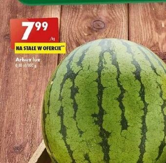 Biedronka Arbuz oferta
