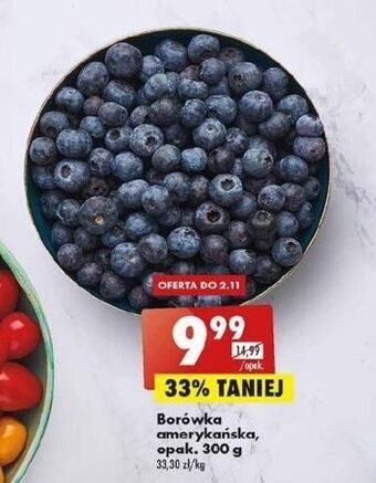 Biedronka Borówki amerykańskie oferta