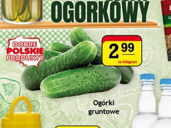 Gram Market Ogórki gruntowe 1kg oferta