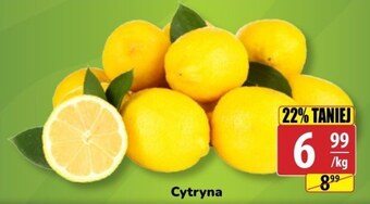 API MARKET Cytryna oferta
