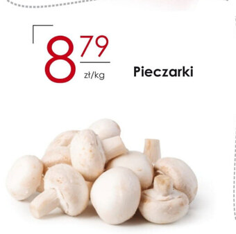 Frac Pieczarki oferta
