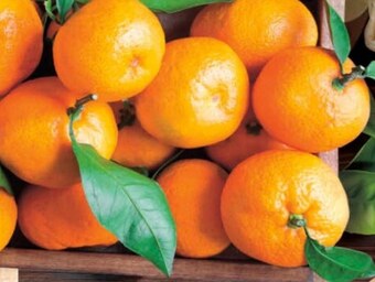 Delikatesy Centrum Mandarynki oferta