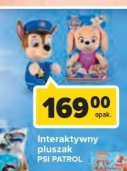 Carrefour Pluszak chase psi patrol spin master oferta
