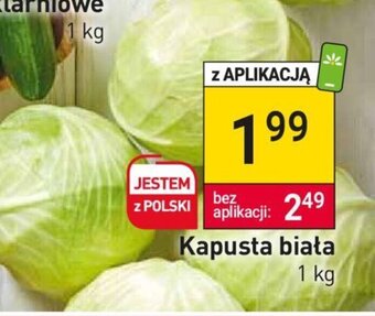 Stokrotka Kapusta biała 1kg oferta
