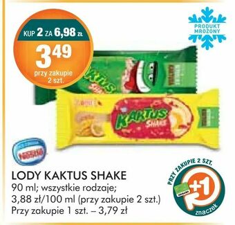 Stokrotka Lody Kaktus Shake oferta