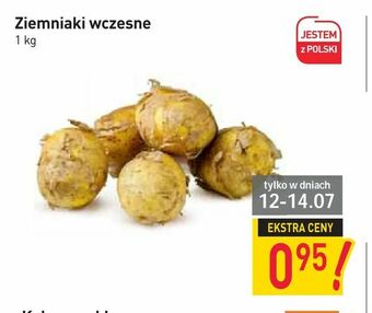 Stokrotka Ziemniaki wczesne oferta