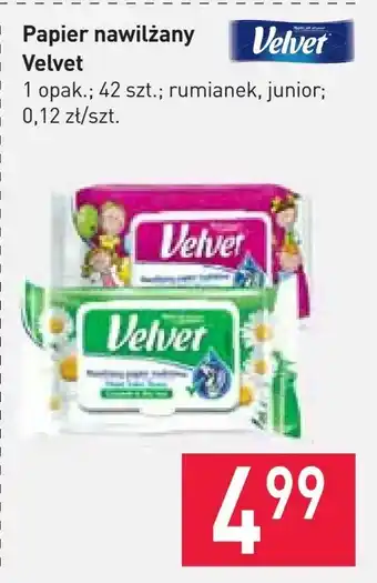 Stokrotka Papier nawilżany Velvet oferta