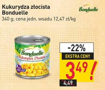 Stokrotka Kukurydza złocista Bonduelle oferta