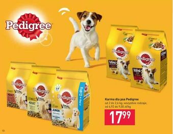 Stokrotka Karma dla psa Pedigree oferta