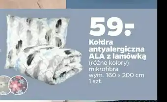 Netto Kołdra antyalergiczna ALA z lamówką oferta