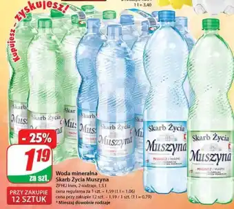 Dino ZPHU Inex,  Woda mineralna Skarb Życia Muszyna, 2 rodzaje, 1,5l, cena regularna za 1szt. - 1,59 (1l=1,06) oferta