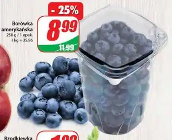 Dino Borówka amerykańska 250 g w opakowaniu oferta