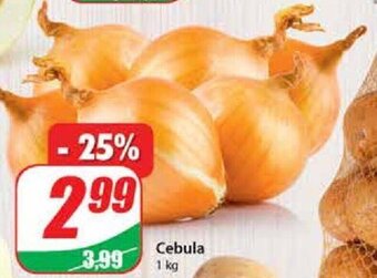 Dino Cebula 1 kg oferta