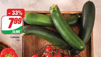Dino Cukinia 1 kg oferta