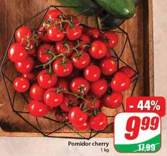 Dino Pomidor cherry 1 kg oferta