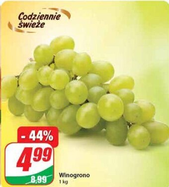 Dino Winogrono 1 kg oferta