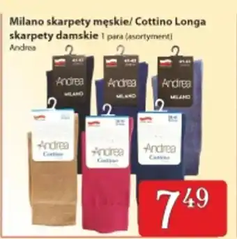 Społem Andrea Milano skarpety męskie/ Cottino Longa skarpety damskie oferta