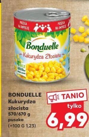 Kaufland Kukurydza złocista bonduelle oferta