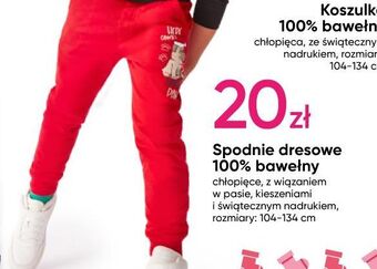 Pepco Spodnie dresowe chłopięce 104-134 cm oferta
