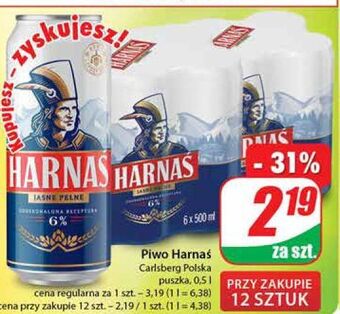 Dino Piwo harnaś jasne pełne oferta