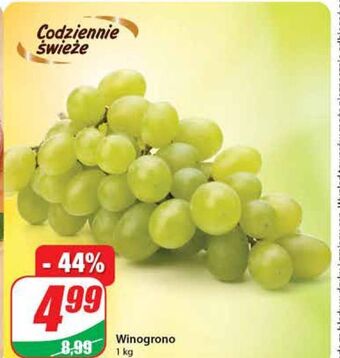 Dino Winogrona białe oferta